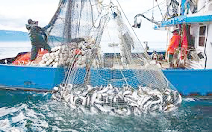 تونس تكسب رهان سرعة النقل اللوجستي والجودة الصحية..   فائض الميزان التجاري لمنتوجات الصـيد البحري يقترب من 300 مليون دينار إلى موفى ديسمبر